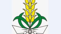Logo Nasyiatul Aisyiyah